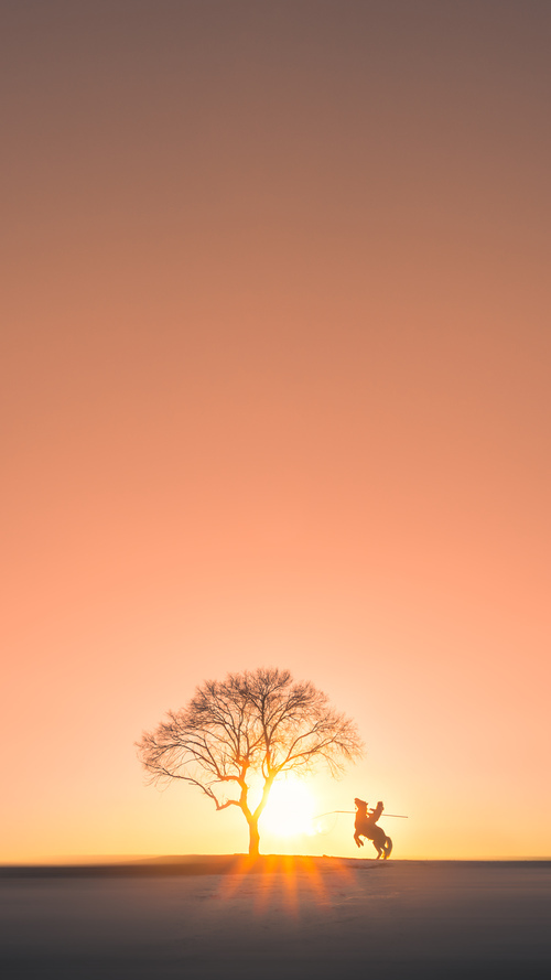 爱游戏中国官方网站平台-NBA年度最佳新秀评选激烈，潜力股引人关注，nba最佳新秀排行