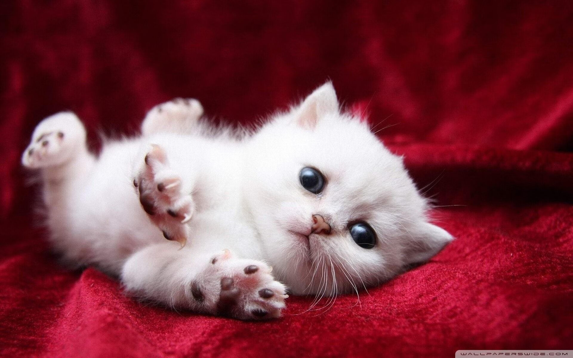 爱游戏综合娱乐-冬季两项：滑雪与射击的完美结合，滑雪和射击