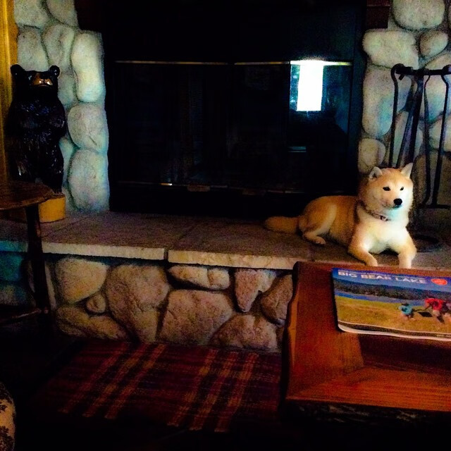 爱游戏娱乐平台-合作创新：NBA与科技巨头共同推动篮球未来发展，nba合作的篮球