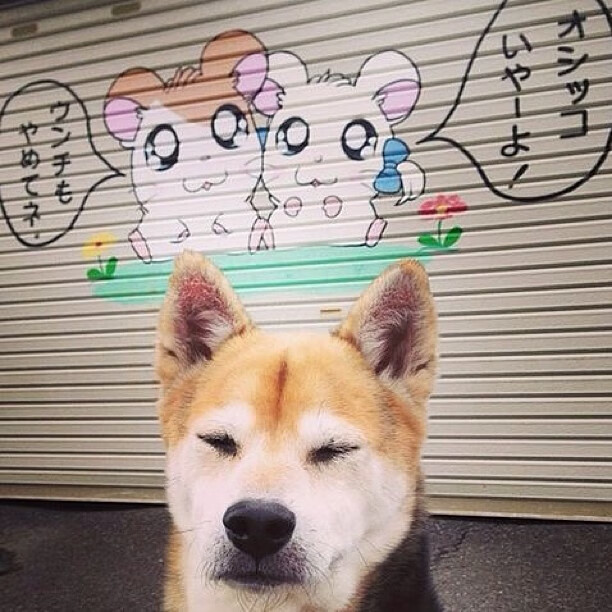 AIYOUXI.COM-媒体评论国足表现，呼吁改革，评价国足