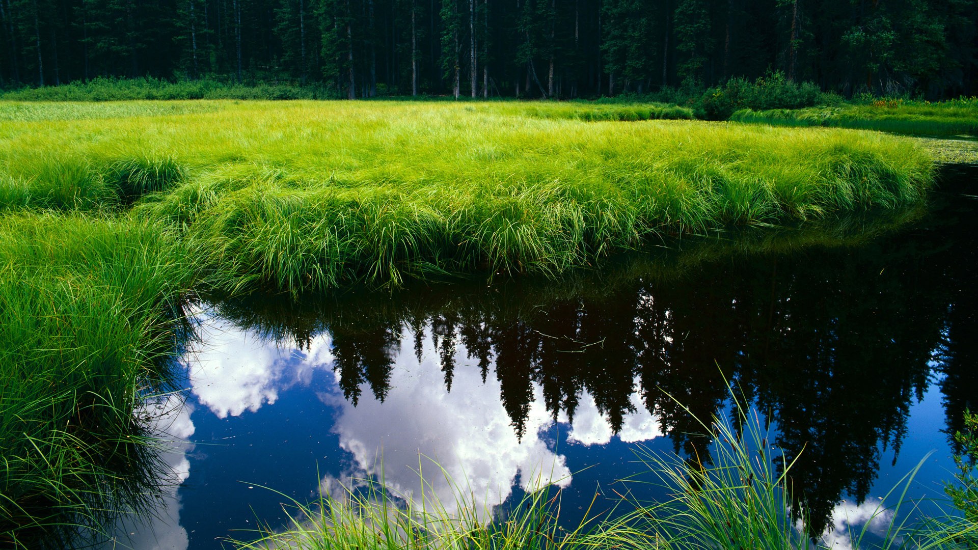 抢断神技：场上逆转转机的关键一刹那，抢断王有用吗