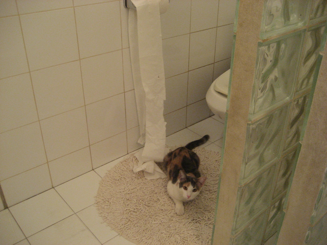 篮球赛事直播弹幕互动技术升级，篮球现场播报