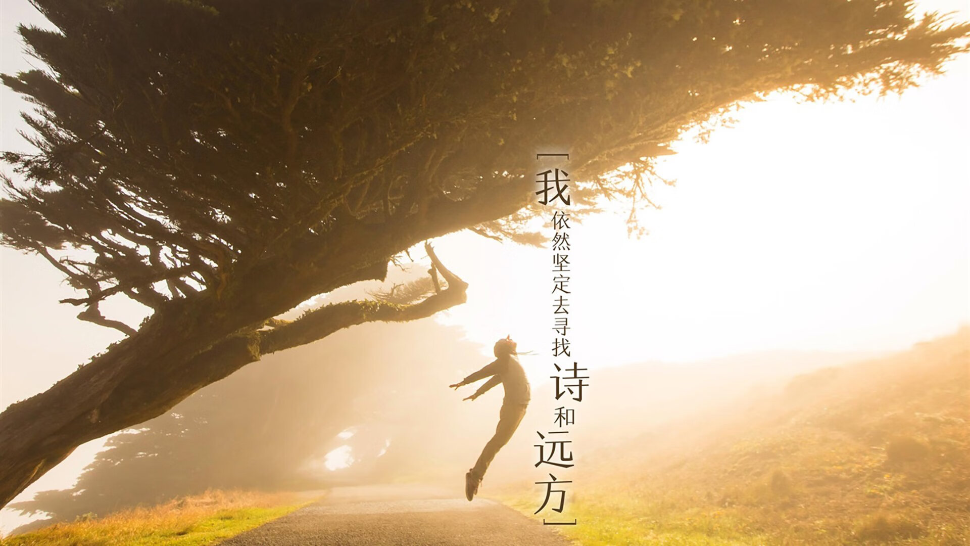 爱游戏体育-上海海港战术打法多样化，上海海港新阵容