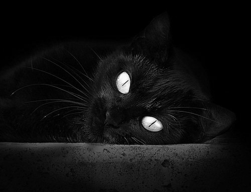 爱游戏体育APP下载-国足在世界杯预选赛中的球员表现评估方案，国足世界杯预选赛分组