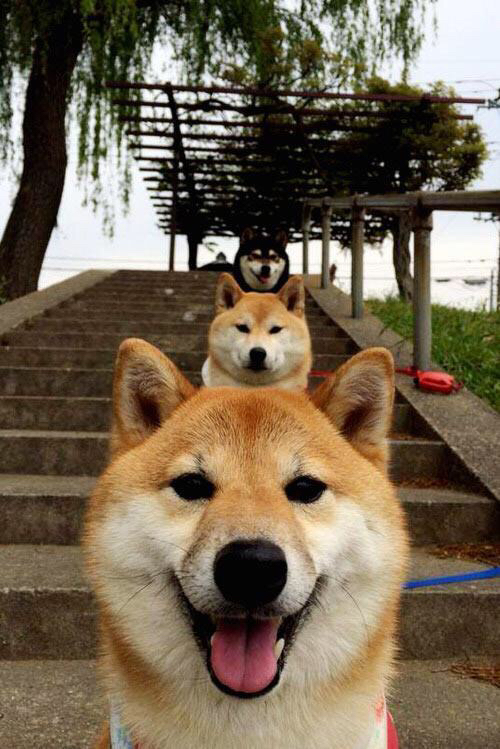 爱游戏平台-步步走高：福尔茨堡锒铛入狱德甲，福尔福德