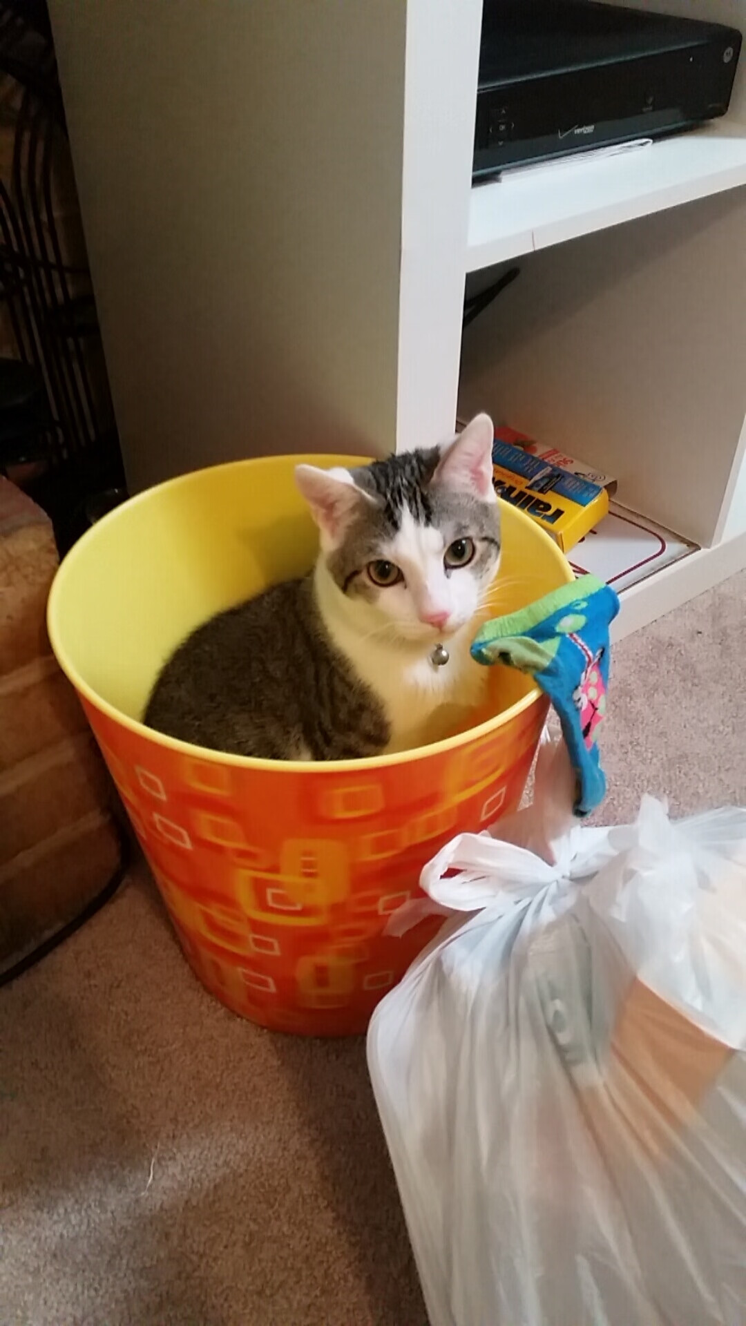 瑞典女足奋力一搏，努力进军前列，瑞典女足照片