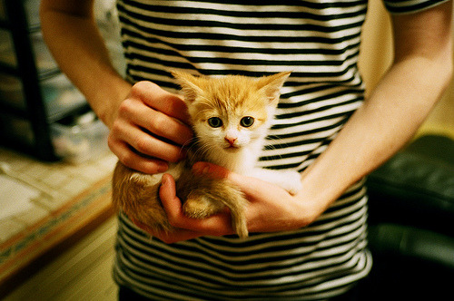 AYX SPORTS-皇家社会客场告捷，晋级希望渺茫，皇家社会ds