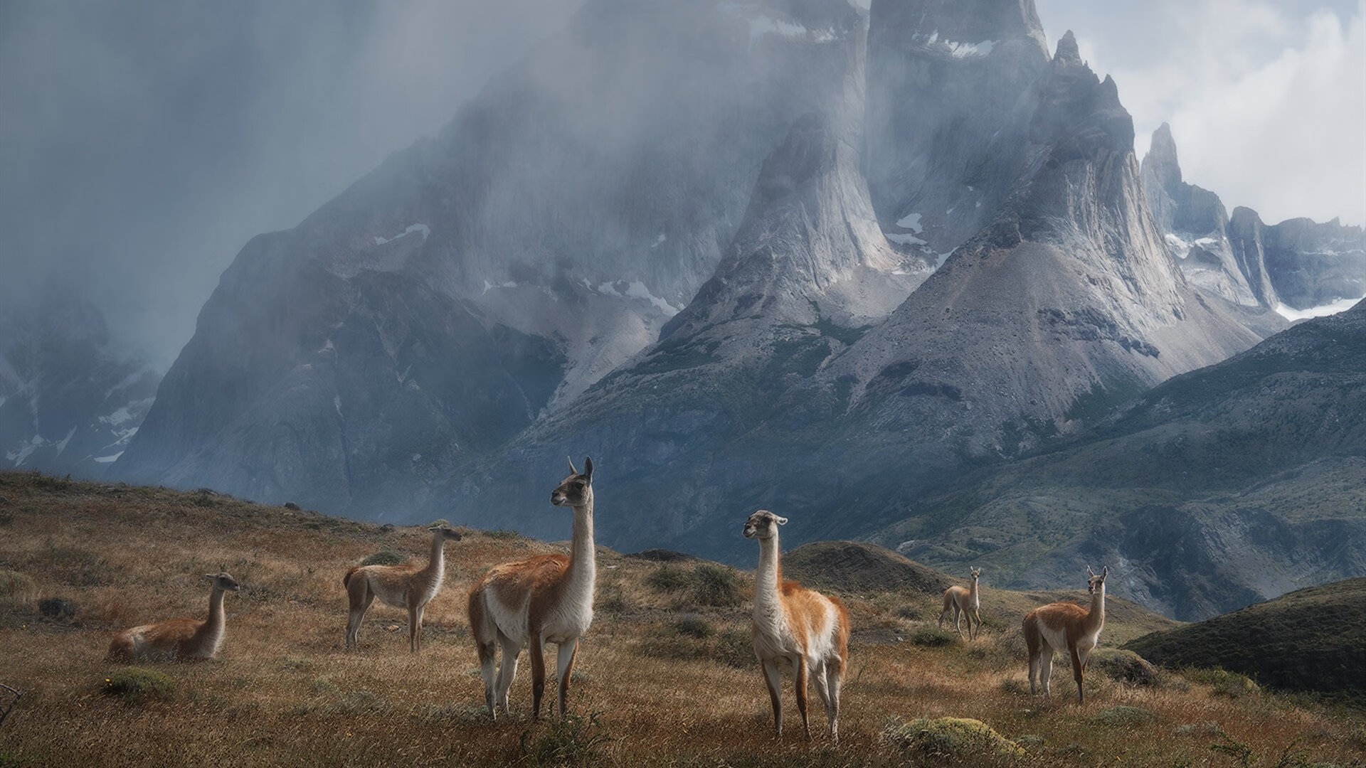 爱游戏-红魔星光：比利时足球女将与西班牙会师，比利时足球新星