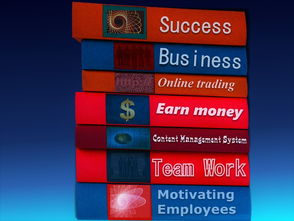 爱游戏娱乐平台-中国篮球职业联赛经济效益提升路径及风险管理，中国篮球职业联赛的看法