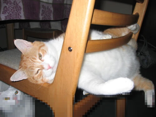 体育赛事市场分析及推广模式研究,体育赛事市场分析及推广模式研究方法