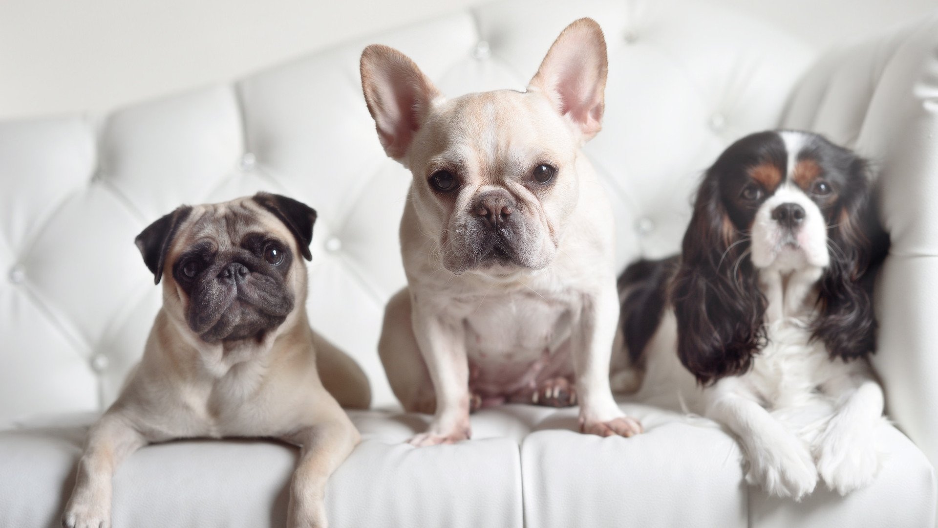 体育赛事市场分析及推广模式研究,体育赛事市场分析及推广模式研究方法