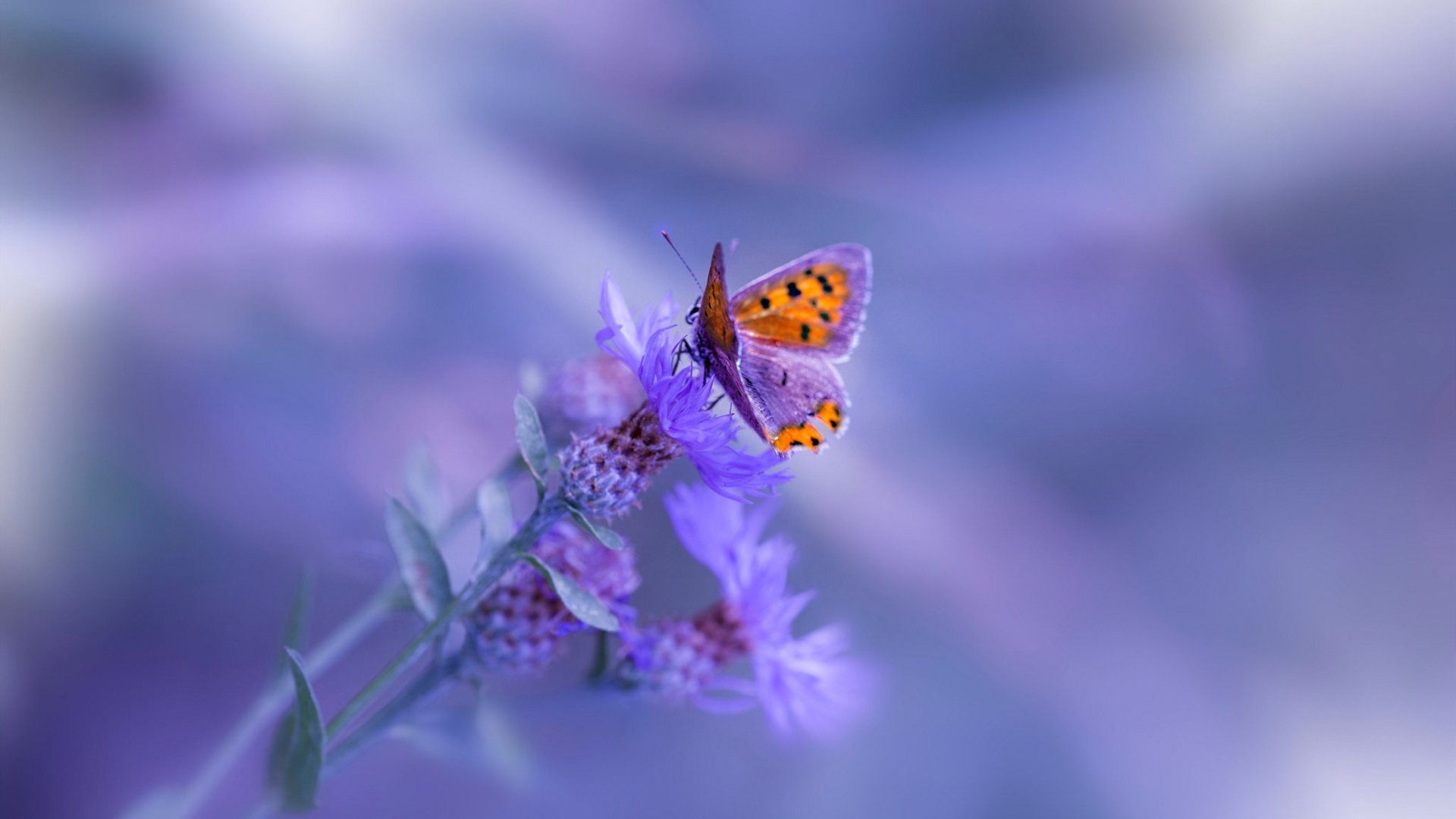 体育新闻中心启动体育赛事内容智能生成平台，体育赛事报道