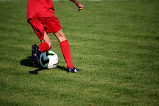 爱游戏娱乐网址-内线球员在快节奏体系下的功能性演变，内线球员的主要作用