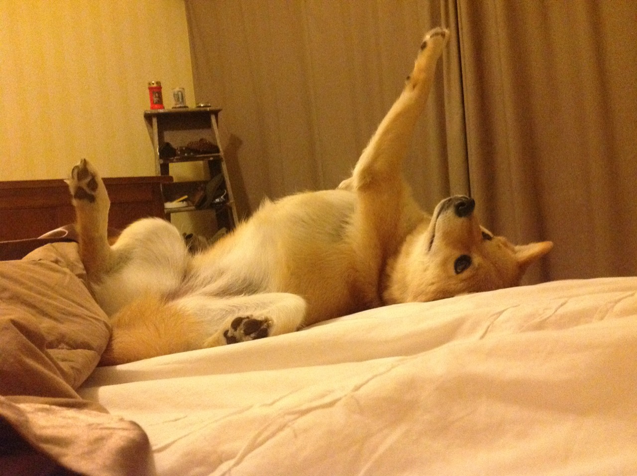 强硬防守球队用身体碾压对手,防守强硬的球员