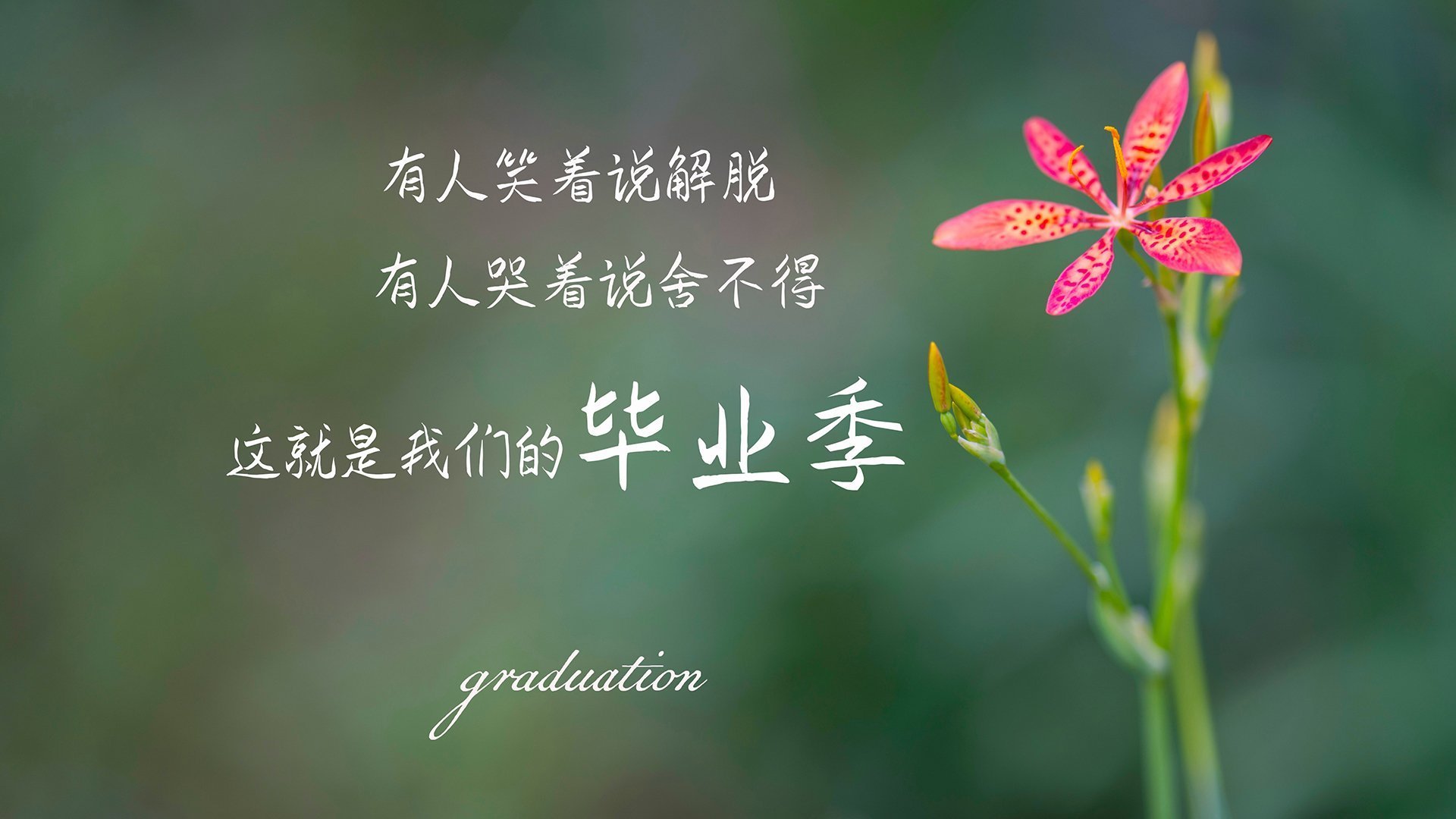 爱游戏体育-热刺控球占优提高射门转化率，热刺战术