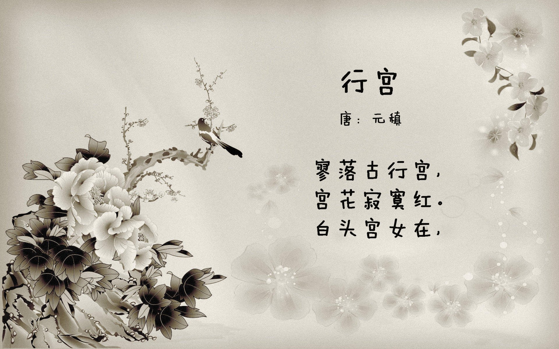 爱游戏娱乐-激情 中国女足晋级 亚洲杯写下新篇章，中国女足惊动亚足联