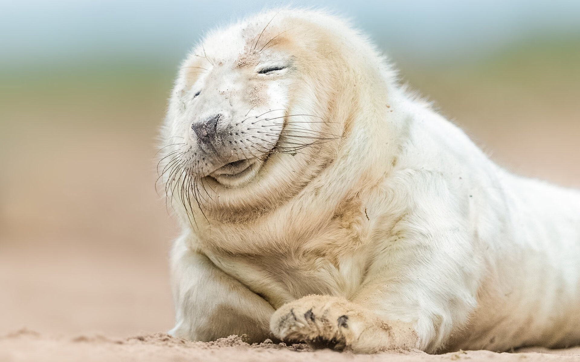 门将指挥防线成为额外战术点，门将防守站位是什么