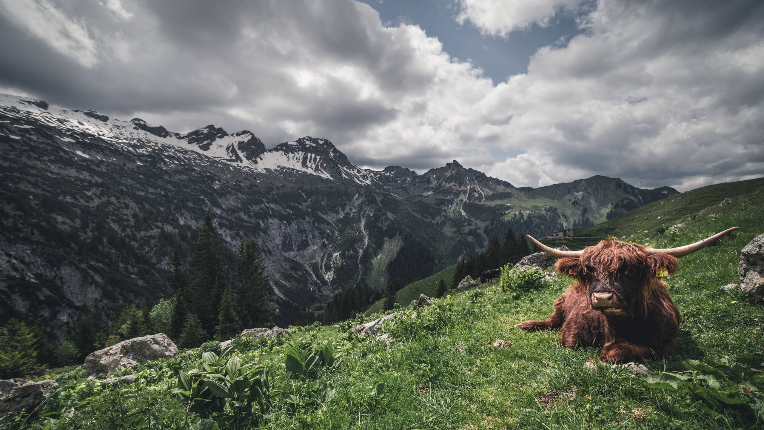 爱游戏电竞官网-东契奇连线队友完成空接引爆全场，东契奇 集锦