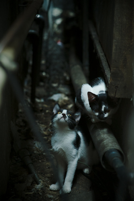 爱游戏登录入口-乌干达女篮在非洲锦标赛上奋勇冲击，迈向更高成就，乌干达女联