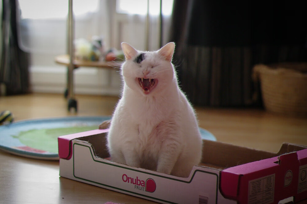 爱游戏体育-体育产业融资环境分析，体育产业融合发展模式