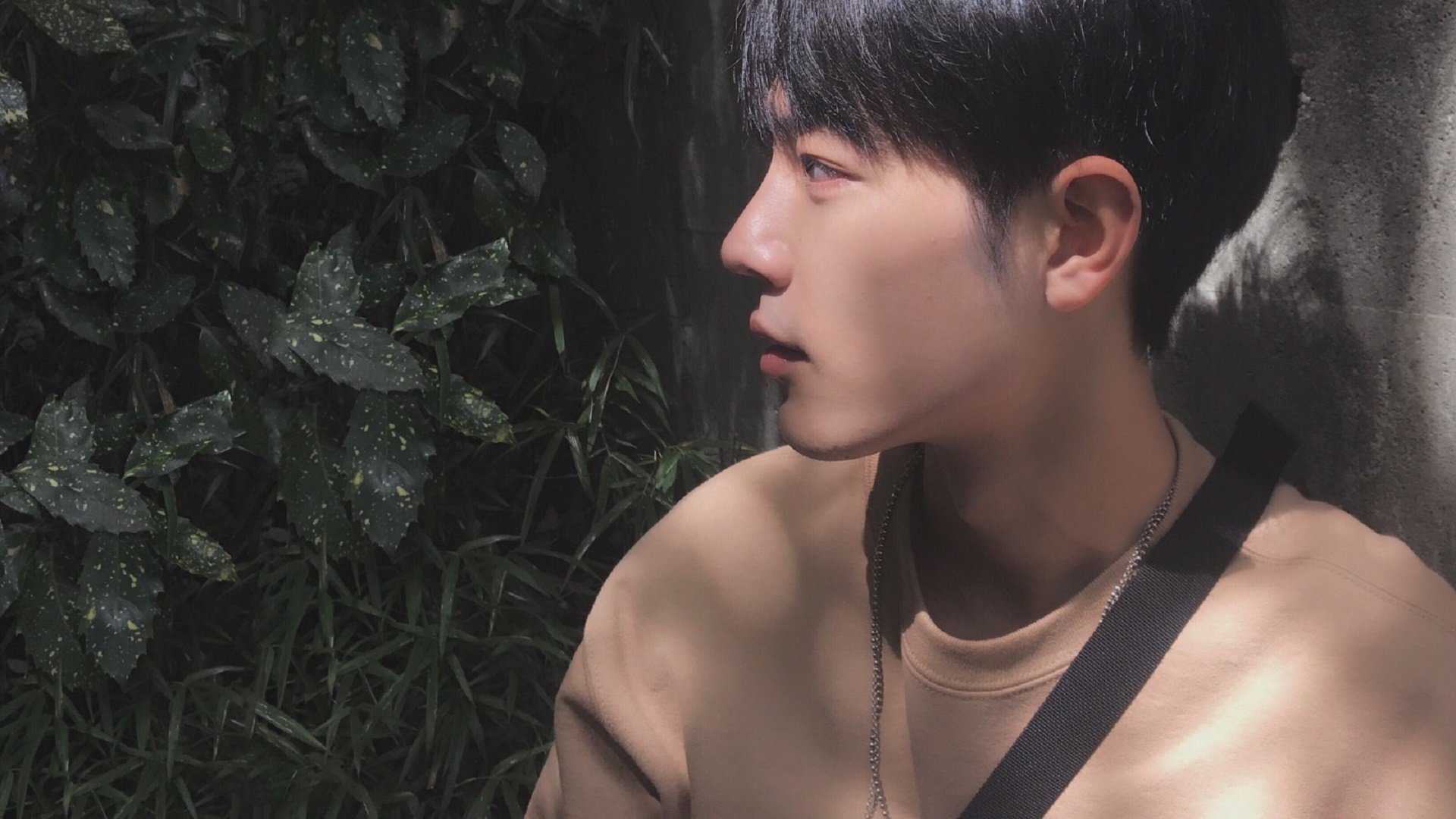 西亚卡姆组织进攻能力提升猛龙进攻更立体,西亚卡姆2021集锦