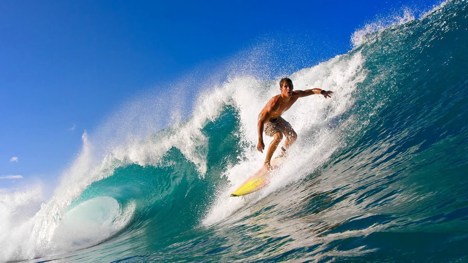 ayx体育app官网入口-拉丁舞盛会：热情与优雅的碰撞，拉丁舞演出视频